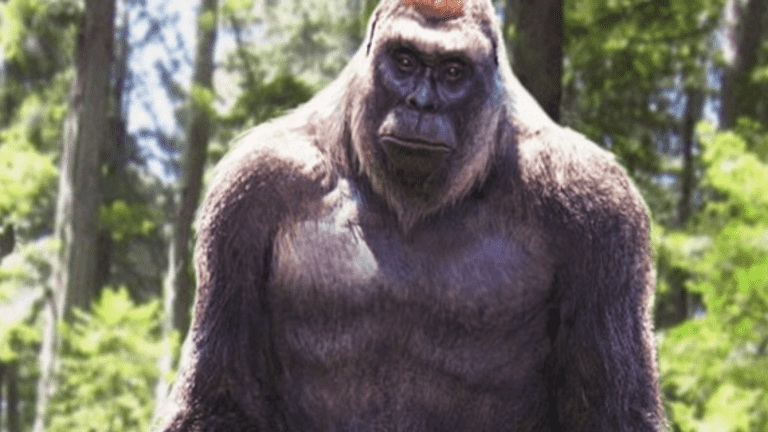 وحش غامض يتعرض لشابين أميركيين