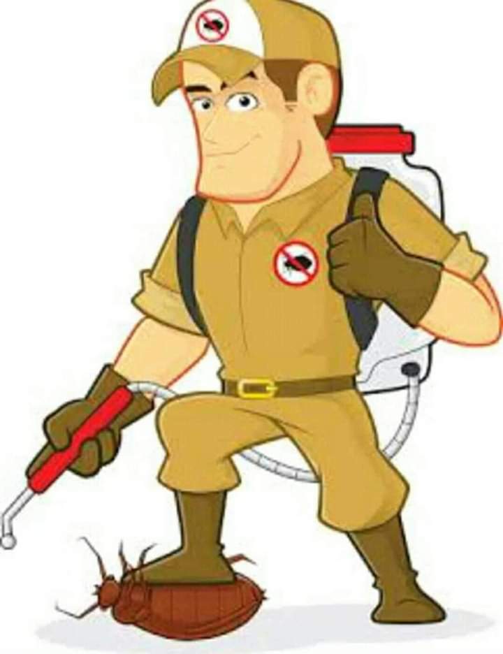 ما هي شركة السماء الزرقاء لإبادة