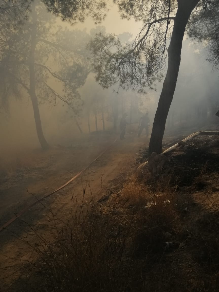 إخماد حريق أعشاب جافة وأشجار حرجية