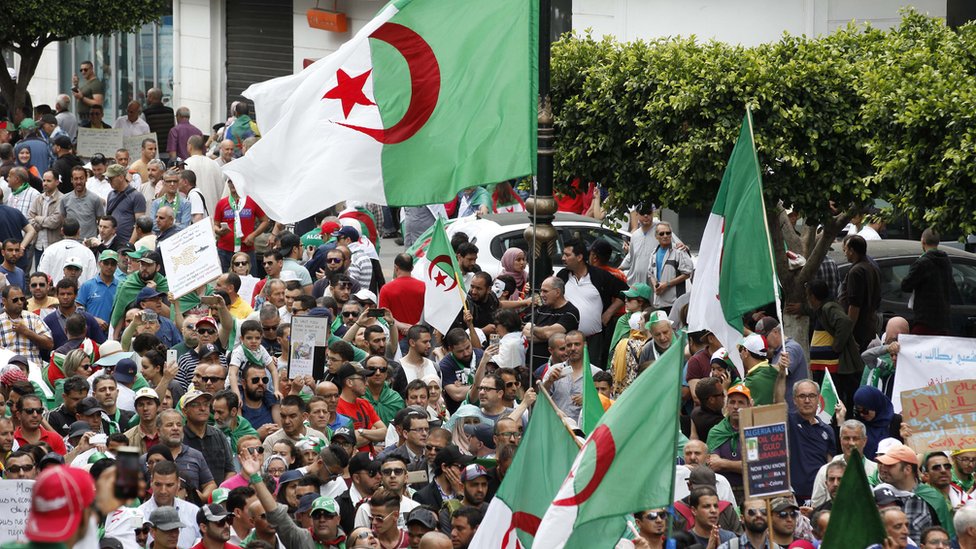 المجلس الدستوري الجزائري يعلن استحالة إجراء