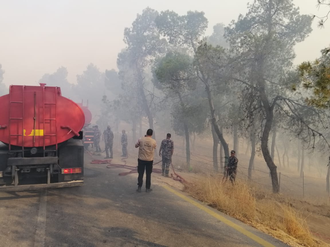 الحكومة تتوعد مفتعلي الحرائق