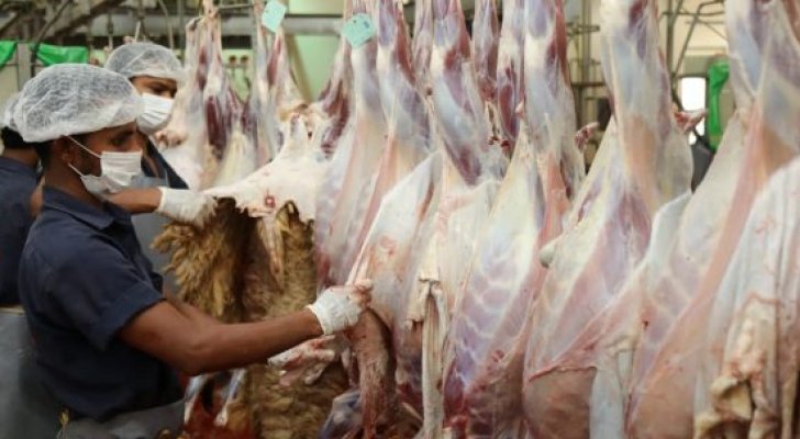 ضبط 40 طنا من سقط الذبائح