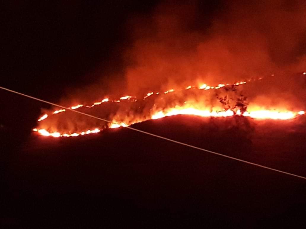 الزراعة: اخماد حريق العارضة بأقل من