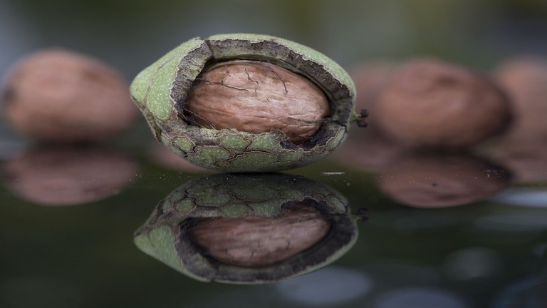 تناول هذه الثمرة وتخلص من مشاكل