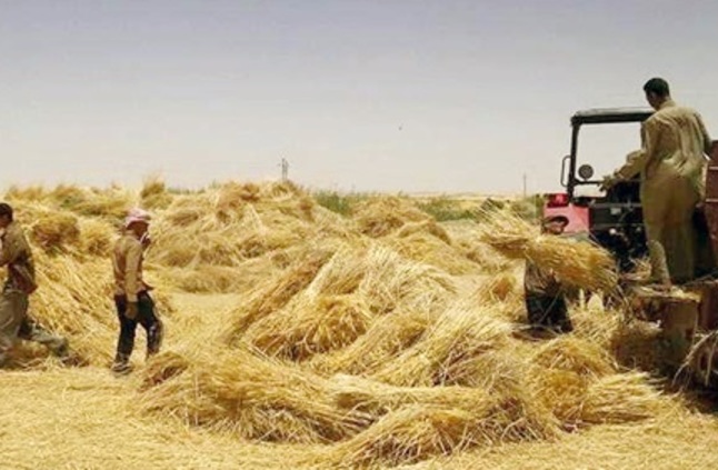 الدفاع المدني يدعو للاسراع بعملية الحصاد