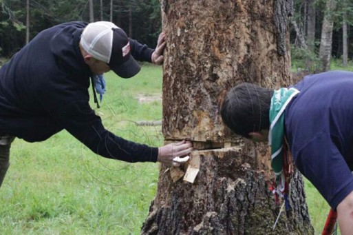 مجهولون يستغلون عطلة العيد ويقطعون 90