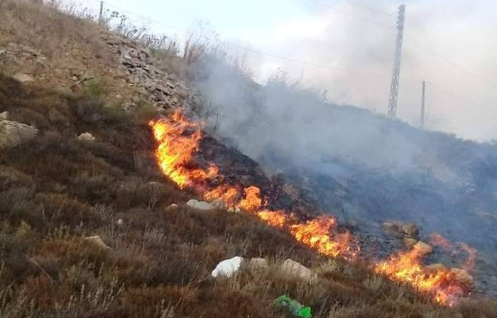 حريق أشجار ومحاصيل زراعية في البلقاء