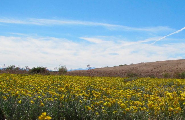 أجواء معتدلة اليوم وغدا