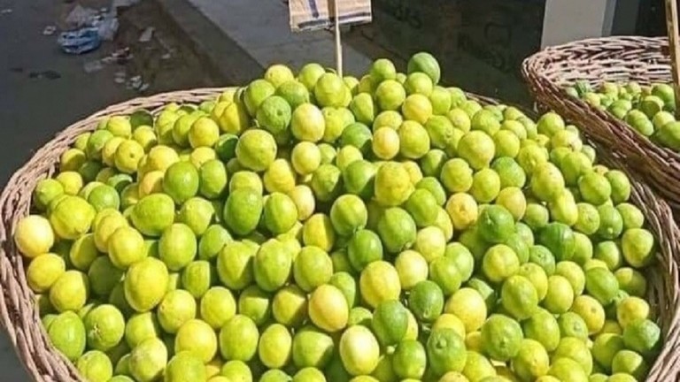 الزراعة المصرية تكشف أسباب ارتفاع أسعار