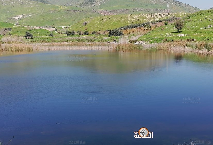 بركة العرائس معرض بيئي للحياة البرية