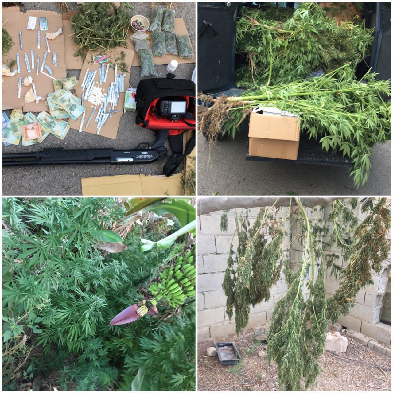 القبض على عدد من مروجي المواد