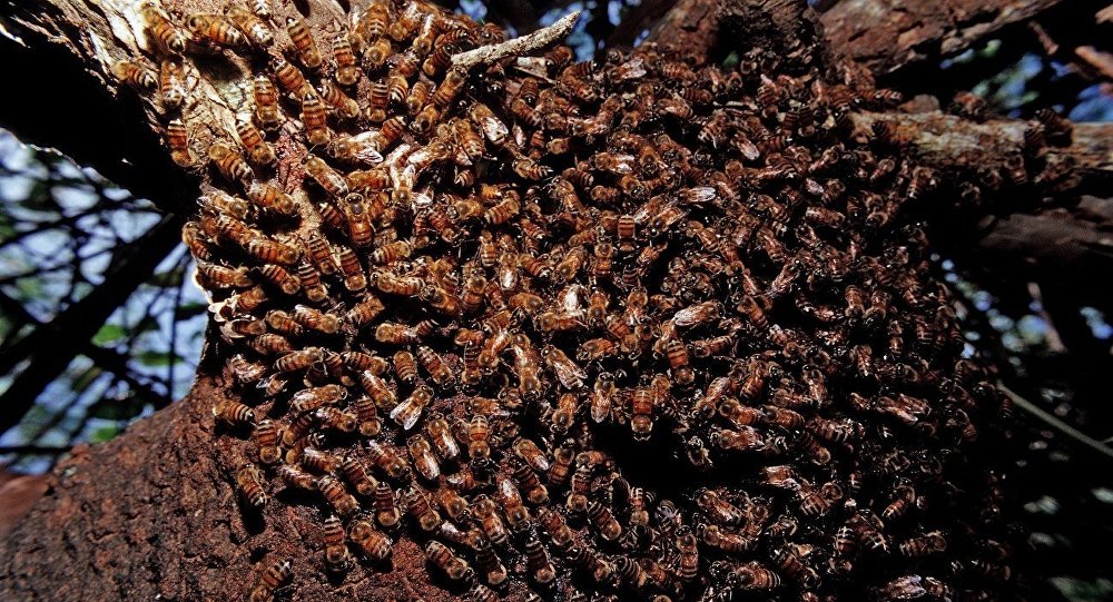 حادث يسفر عن هروب 133 مليون