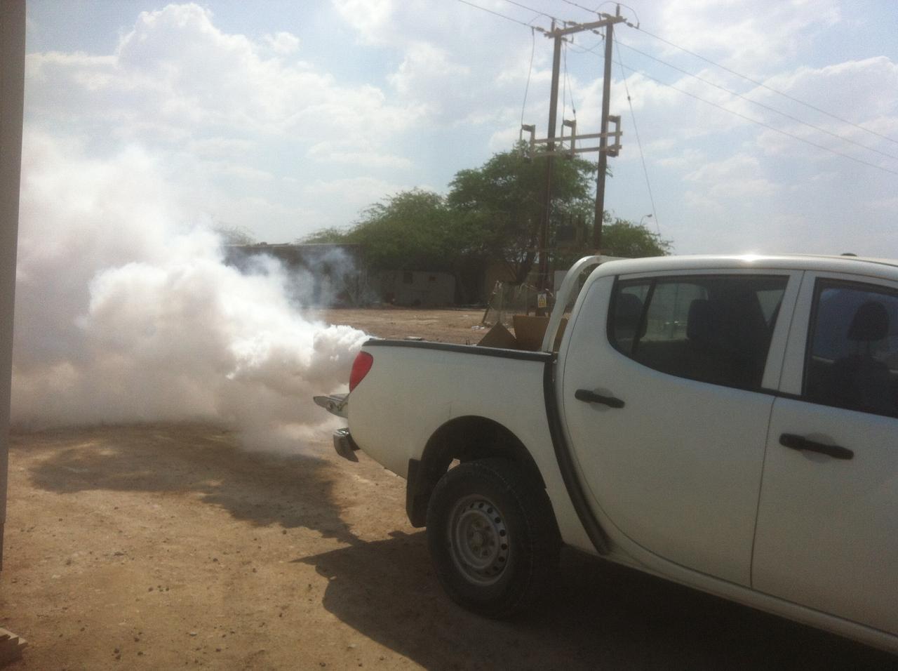 البيئة: الانتهاء من مشكلة انتشار الحشرات