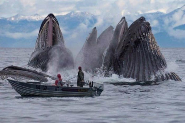 بالصور شاهد: لقطات مذهلة توقف عندها