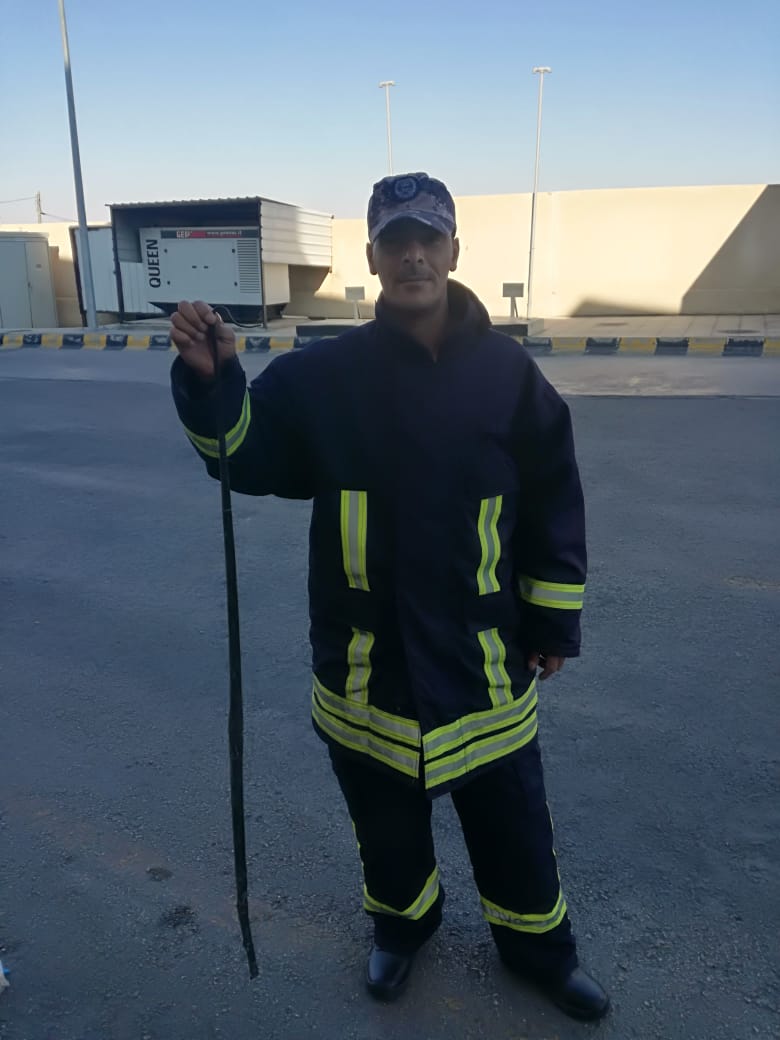 الدفاع المدني يقتل أفعى سامة في