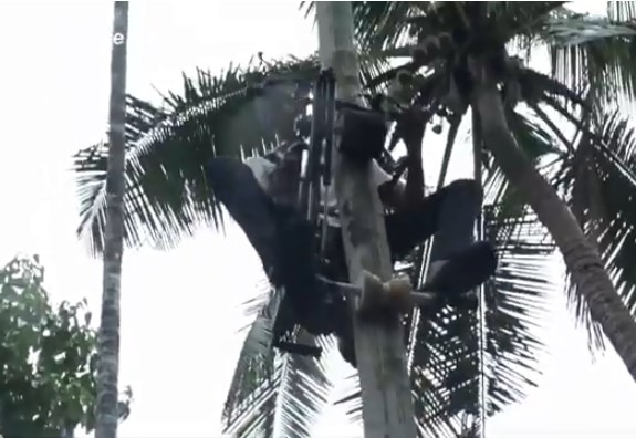 مزارع عبقري يتسلق الأشجار بواسطة دراجته