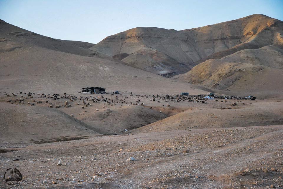 البادية تشكل 85 % من مساحة