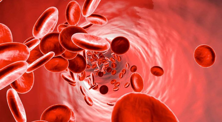 دراسة: 43% من النساء في الأردن