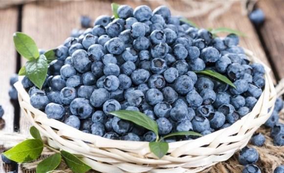 وضع 146 حبة من التوت في