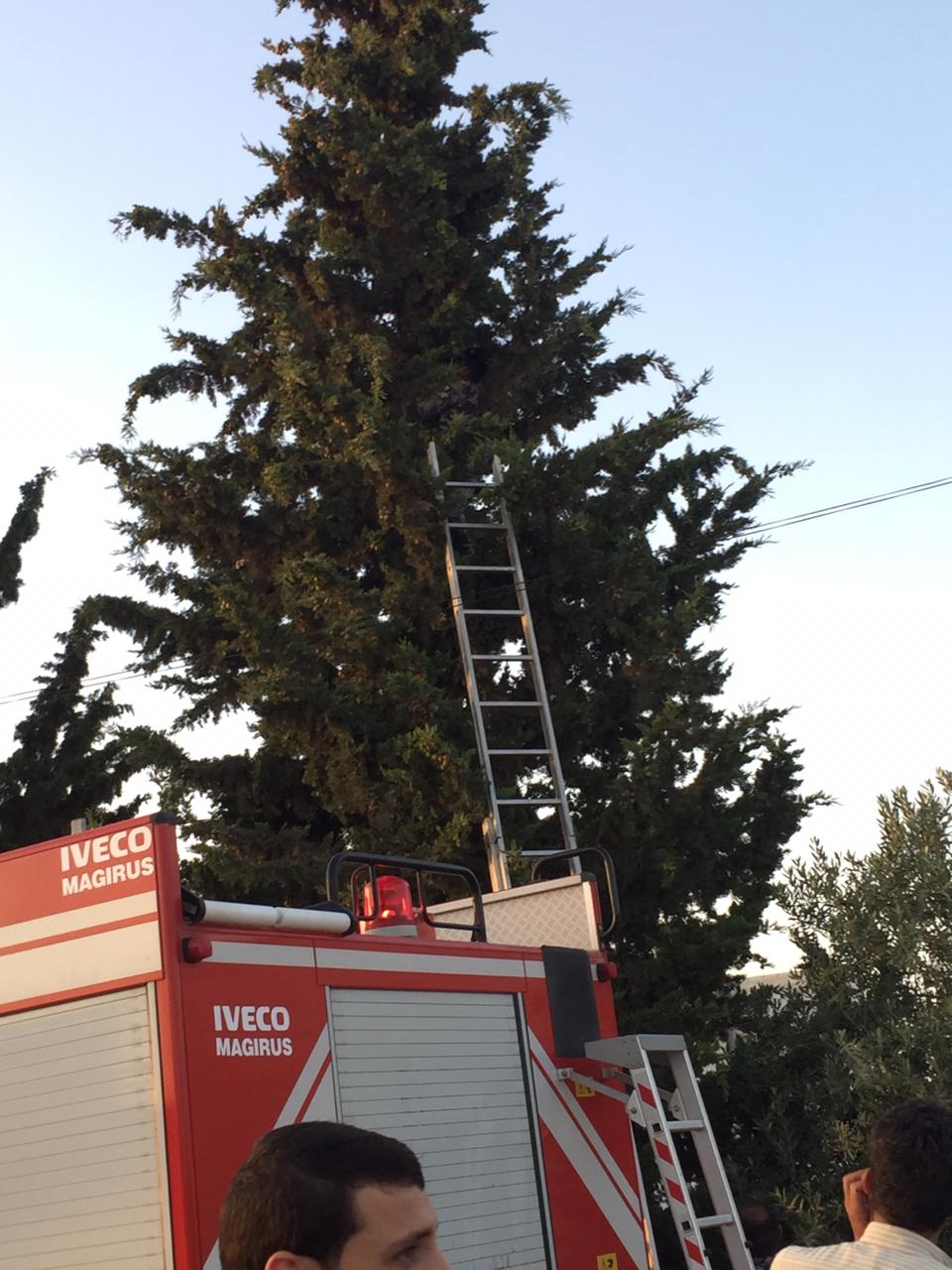 الدفاع المدني ينقذ قطة في المفرق..