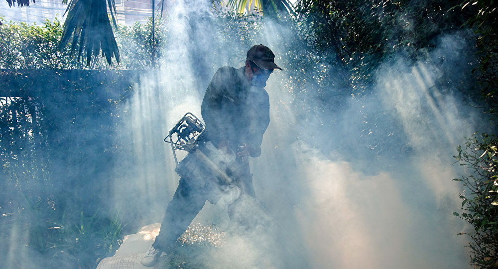 الكشف عن حشرة منزلية «مستحيل قتلها»