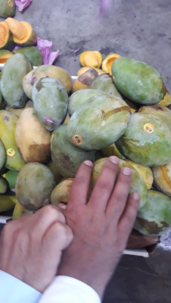 الزراعة ترفض إدخال 4906 طن من