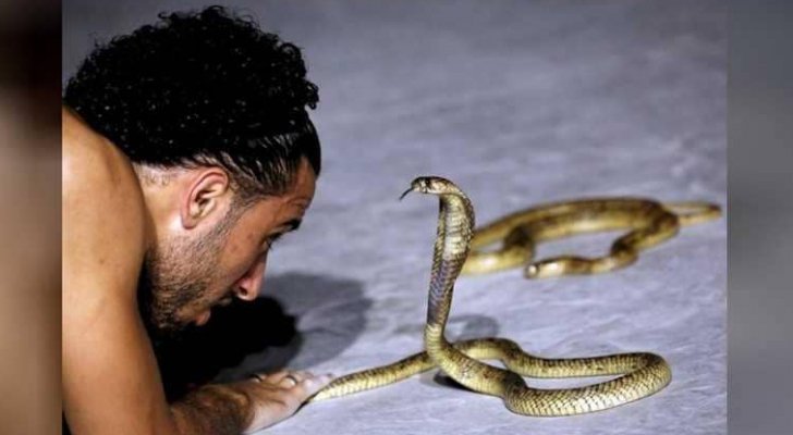 كوبرا تقتل مروضها المصري أمام الجمهور