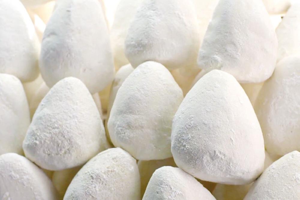 الأردن يستورد 520 طنا من الجميد