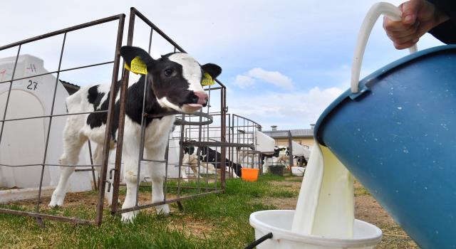 جمعية ألبان «تحت التأسيس» ترد