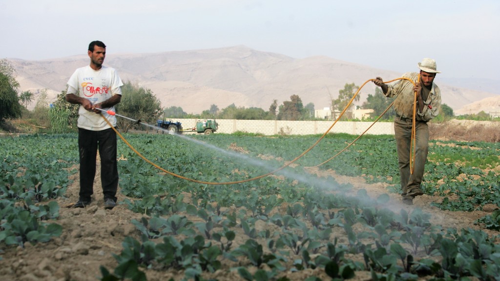 الحكومة: استخدام مياه الصرف الصحي المستصلحة