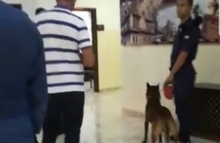 الأمن يوضح حول استخدام الكلاب البوليسية
