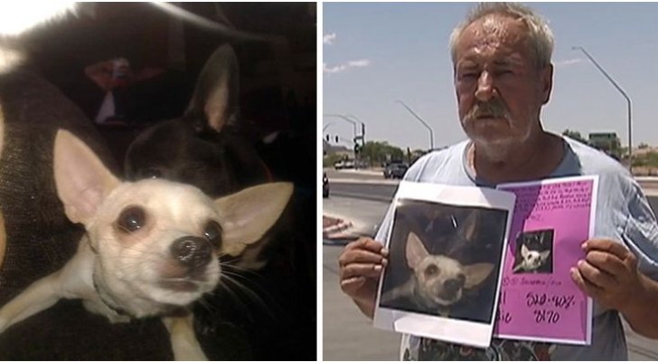 أمريكي يمنح منزله لمن يعثر على