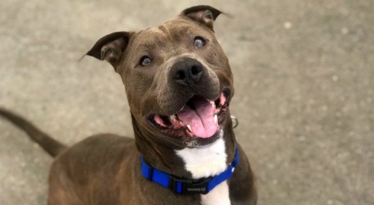 الأولى من نوعها في العالم ..