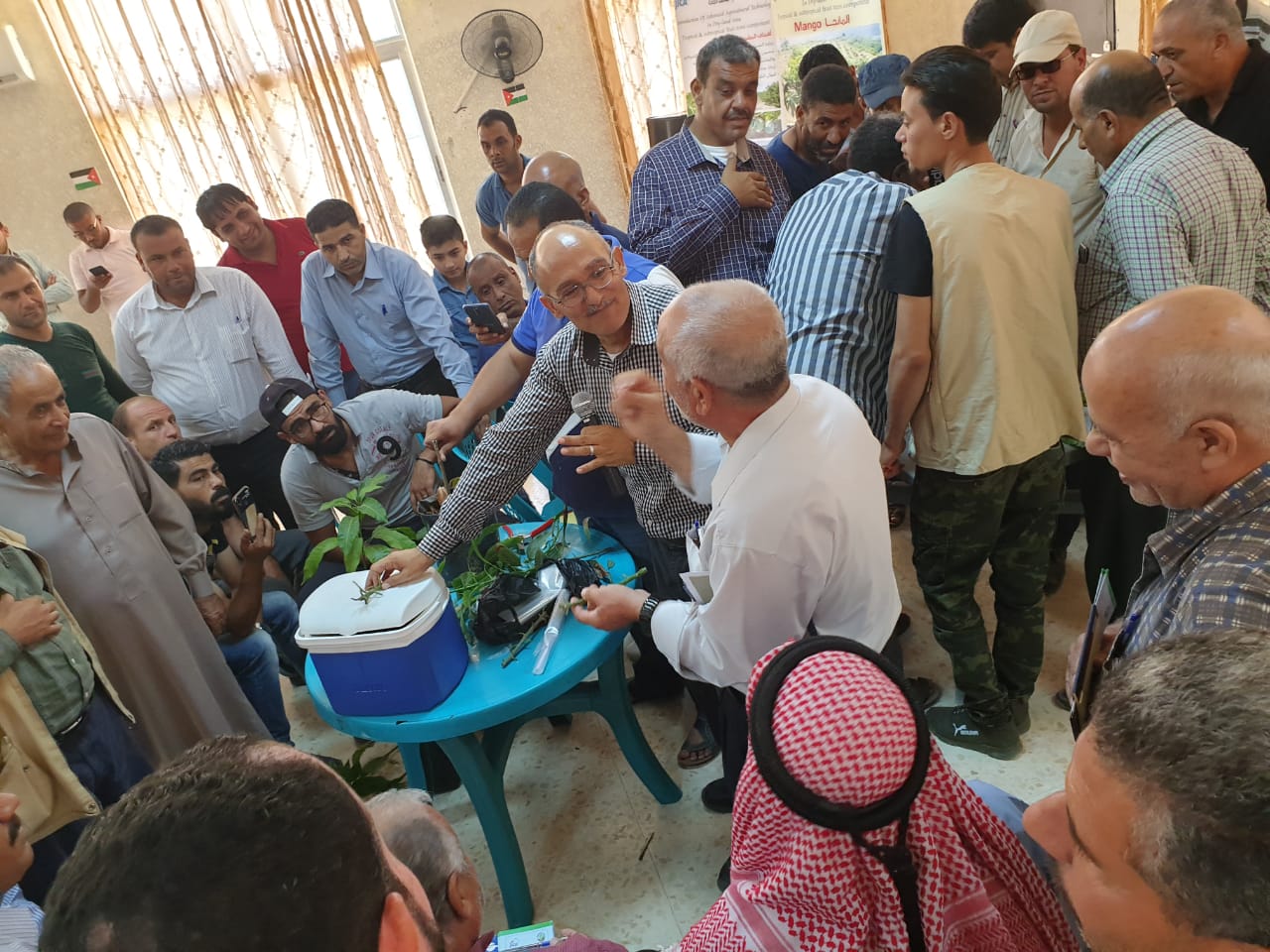 البحوث الزراعية: نسعى لزيادة المساحات المزروعة