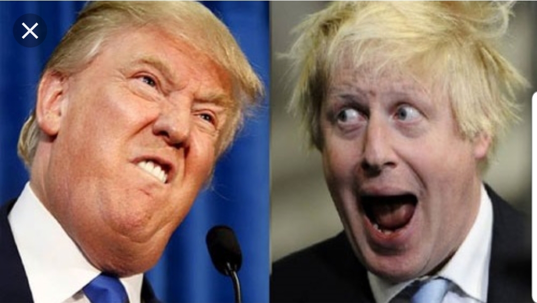 لا يحتاج فوزجونسون الى الكثير من