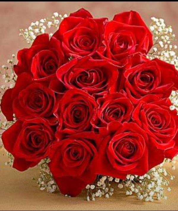 رزان محمد عبد النعيم ناصر.. مبروك