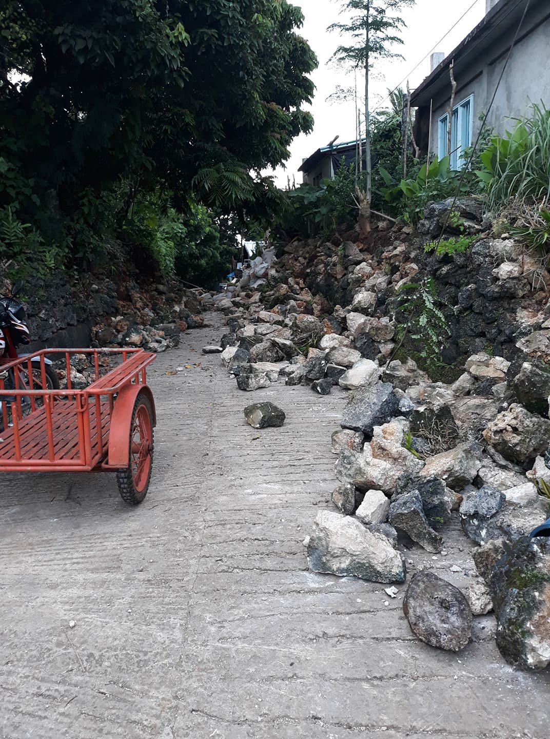 مقتل ثمانية وإصابة 60 في زلزال