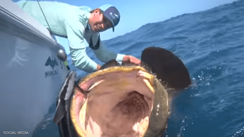 ملايين المشاهدات لفيديو اصطياد «الأخفس العملاق»