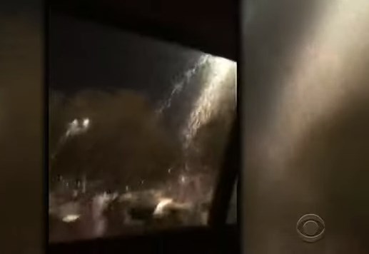 الجنادب تغزو مدينة لاس فيغاس الأمريكية