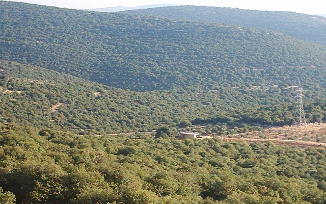 مدعوون لبلدية برما الجديدة (أسماء)