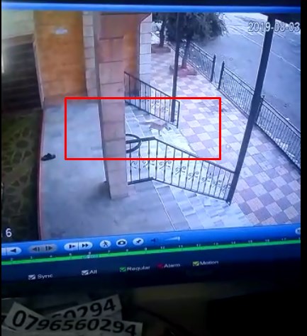 «حصيني» يسرق أحذية المصلين بأحد مساجد