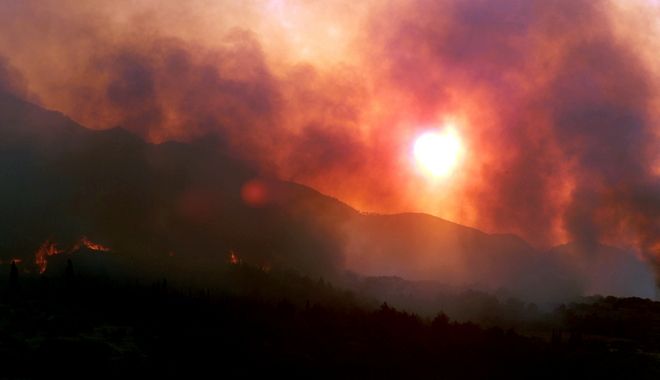 شاهد.. حرائق جهنمية تلتهم غابات ثاني