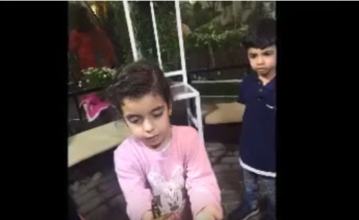 روان الهروط.. تلاعب الفراشات (فيديو)