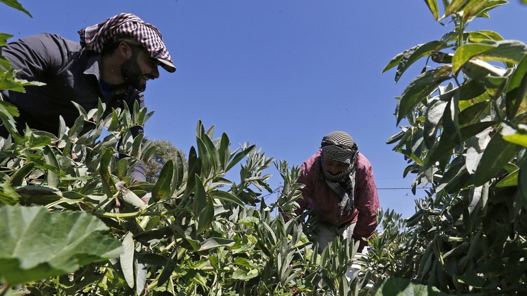 تركيا تتصدر بلدان العالم بأربعة منتجات