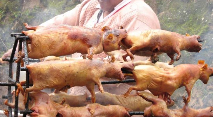 آسيويا .. لذة أكل الفئران تضاهي