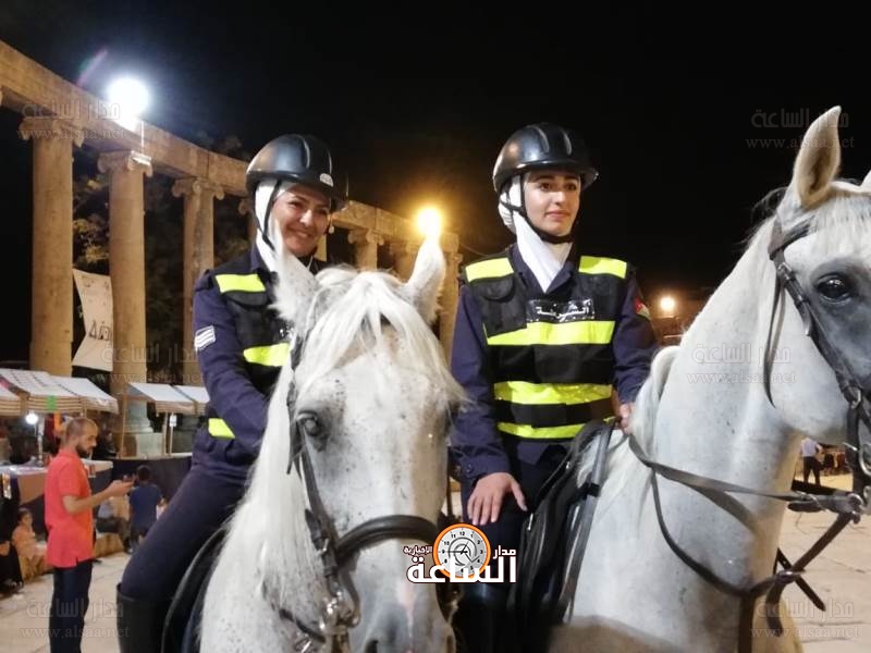 الأمن يعرض خيولا للبيع