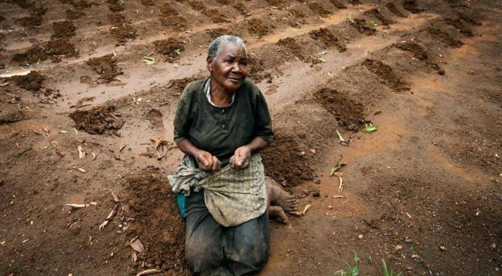 مجلة فورين بوليسي: البشرية في خطر