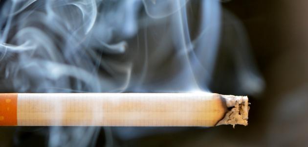 الجمارك تحدد كمية الدخان المسموح للمسافرين