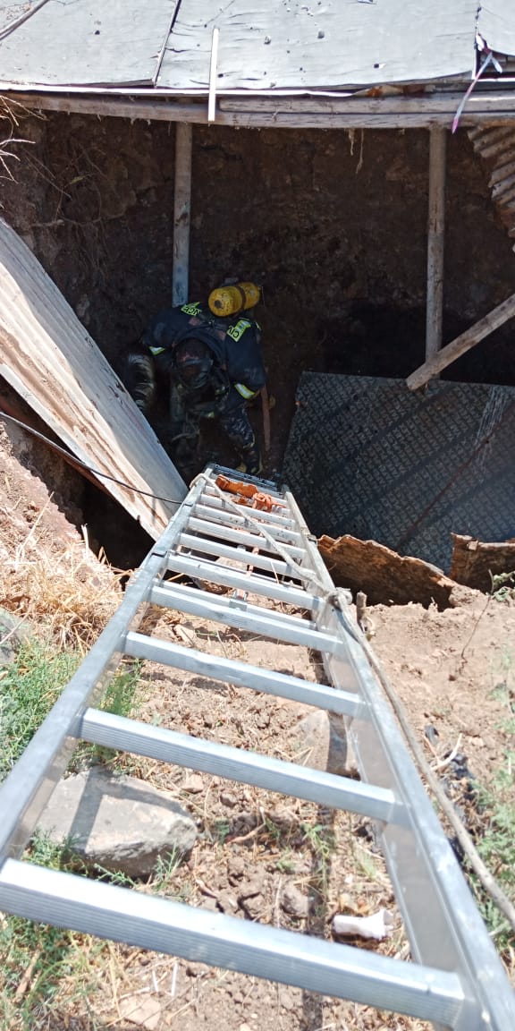 إنقاذ رؤوس أغنام سقطت داخل حفرة