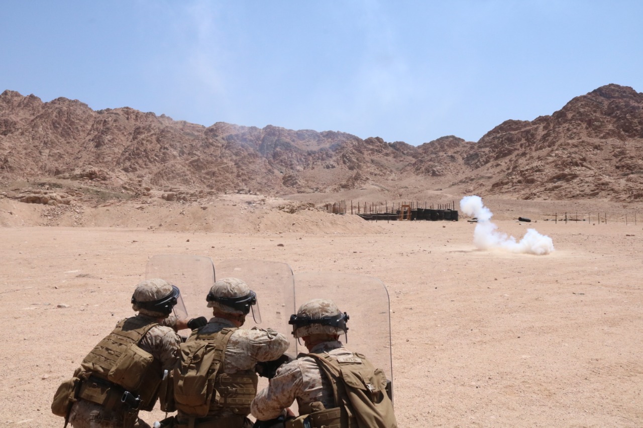 الأسد المتأهب يواصل فعالياته (صور)